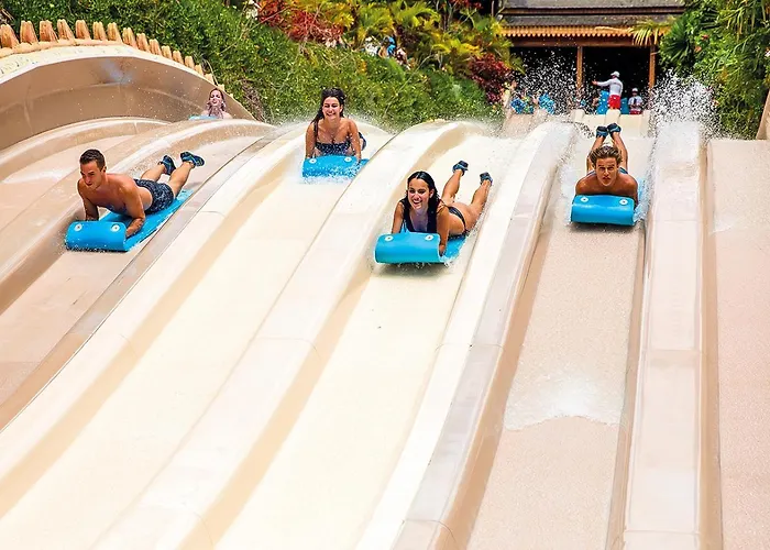 Take It Easea San Miguel de Abona