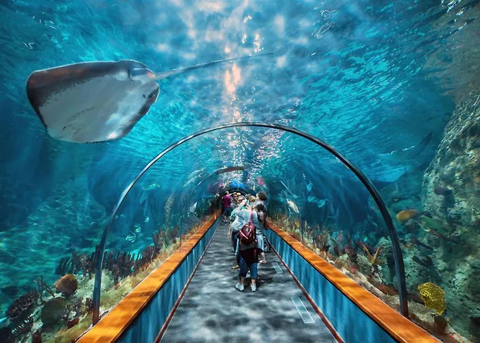 Appartement Take It Easea *