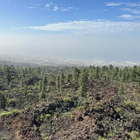 Apartament Take It Easea