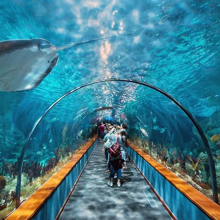 Take It Easea * San Miguel de Abona